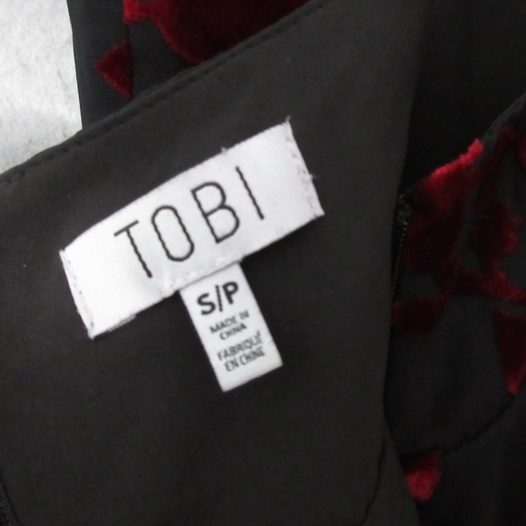 Tobi Dress Small Floral Velvet Burnout Maxi Sheer Y2K Whimsigoth Fairy Vamp Goth - Picture 9 of 12